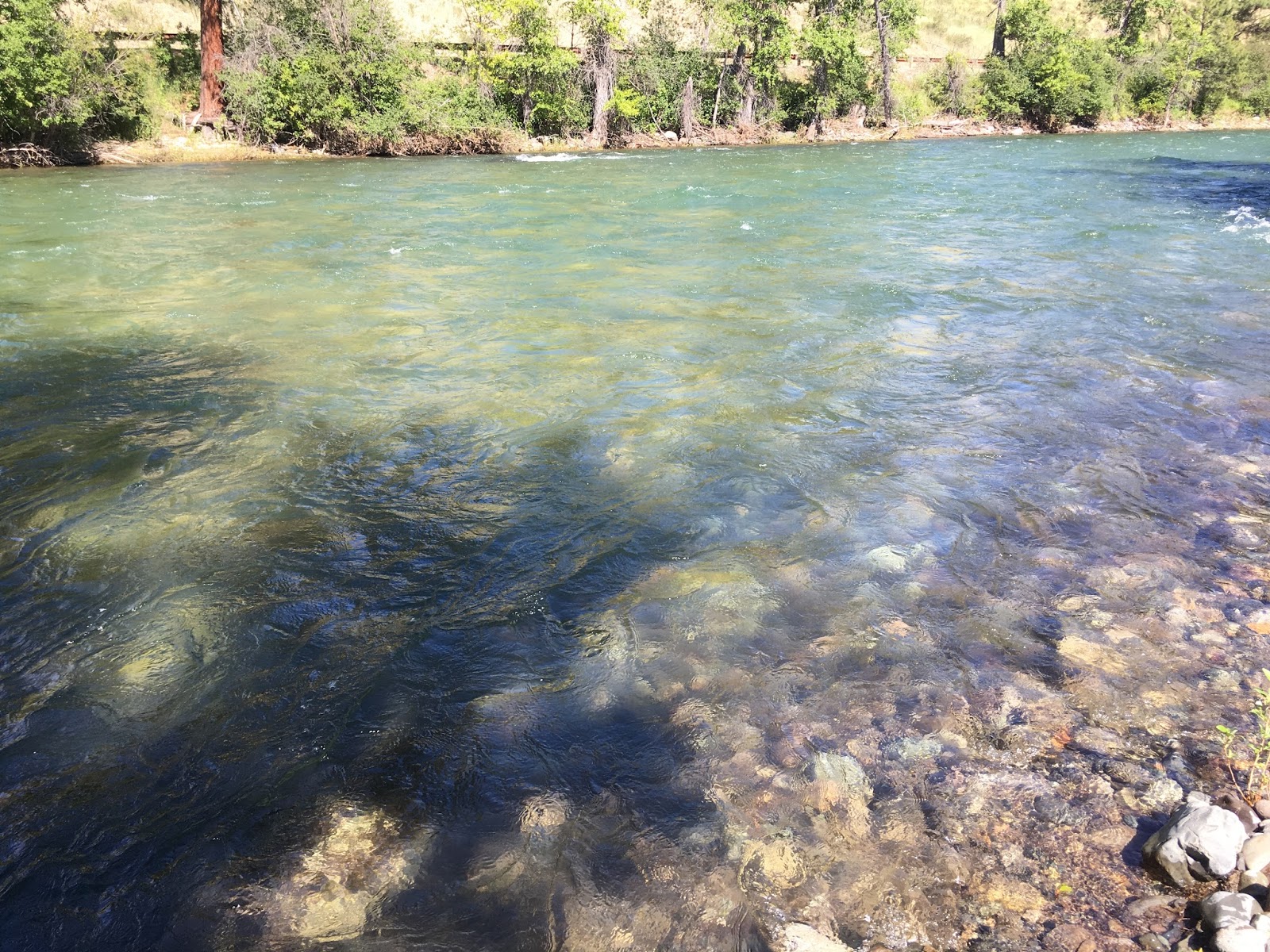 All This Is That winthrop