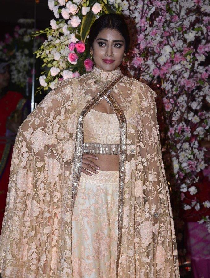 Model Shriya Saran At Wedding Reception In Pink Dress