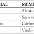 (PUC-SP 2019) Amniotas são animais que se caracterizam por se desenvolverem a partir de ovos amnióticos