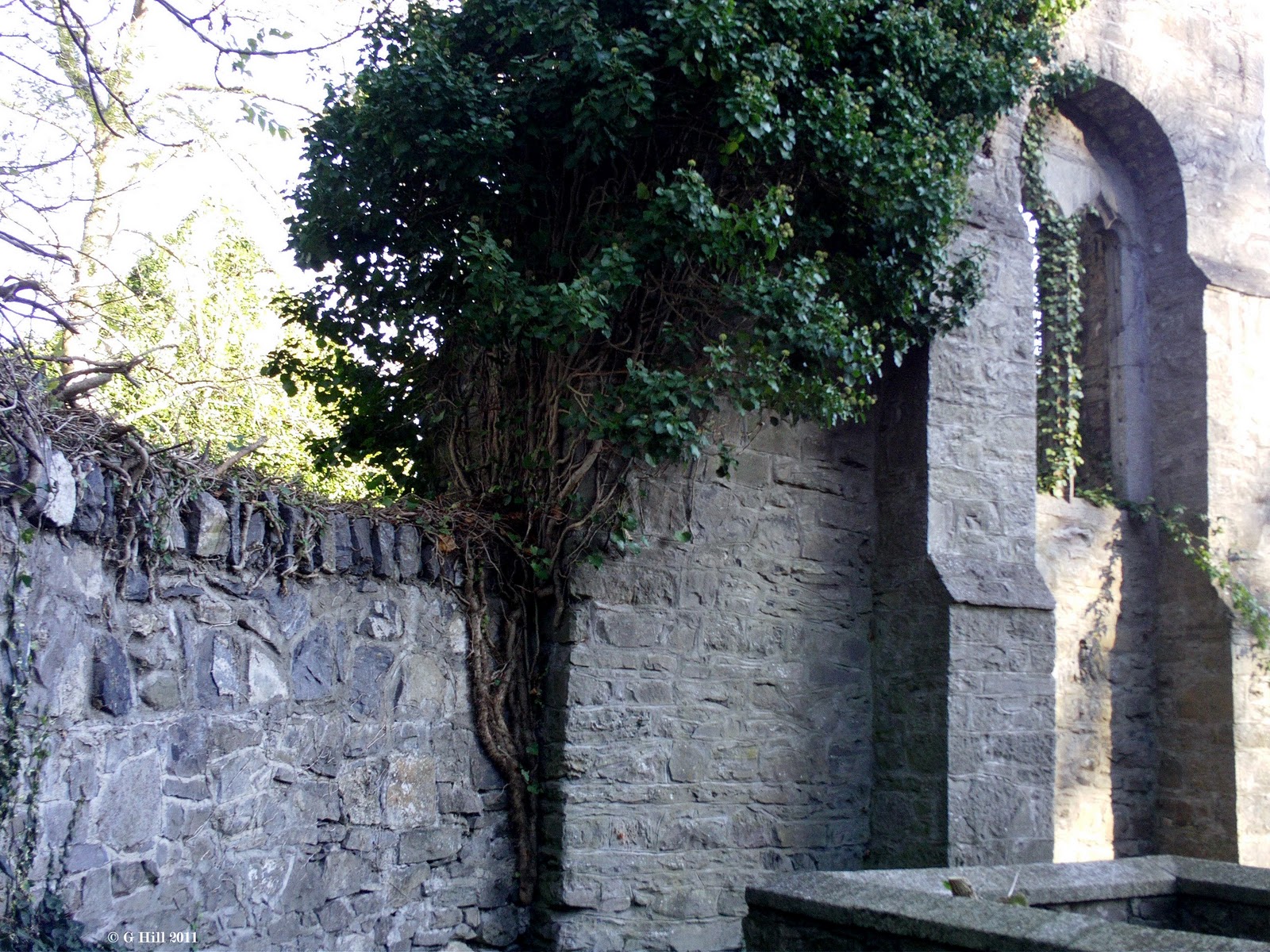 Ireland In Ruins Old Lucan Church & Castle Co Dublin