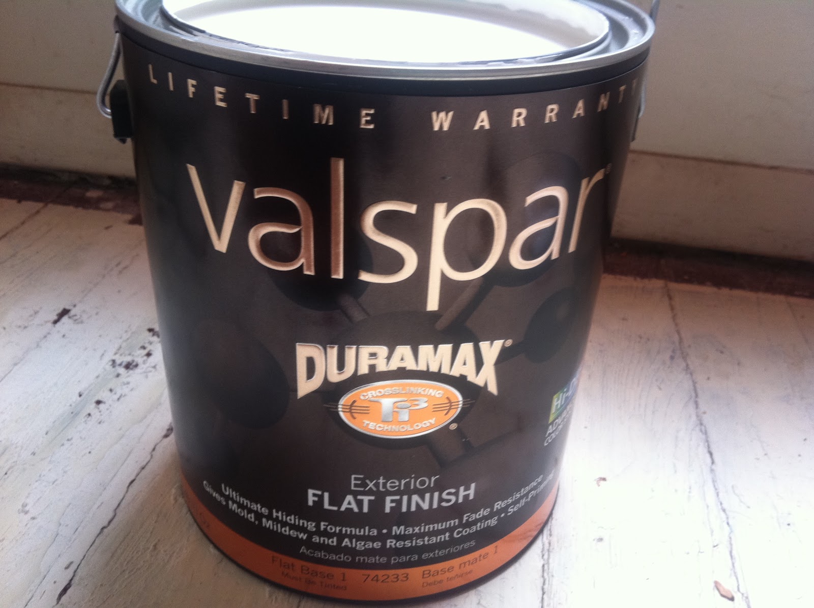 Apt. II FIRST COAT OF PAINT