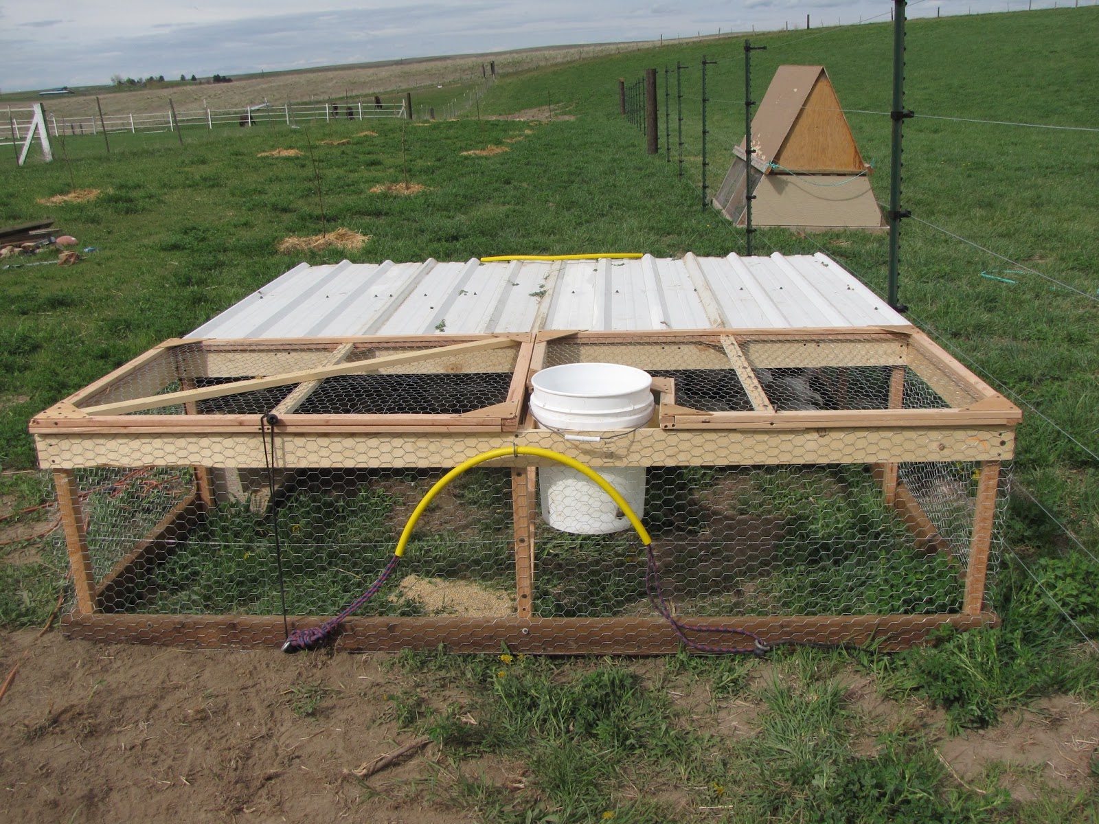 Thoughts From Jules... The Chicken Tractor for the Meat Chickens...