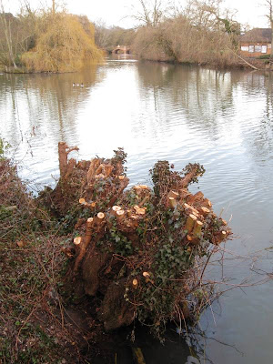 River scene with tree stump