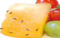 fruit flies invasion gnats eyes pesky