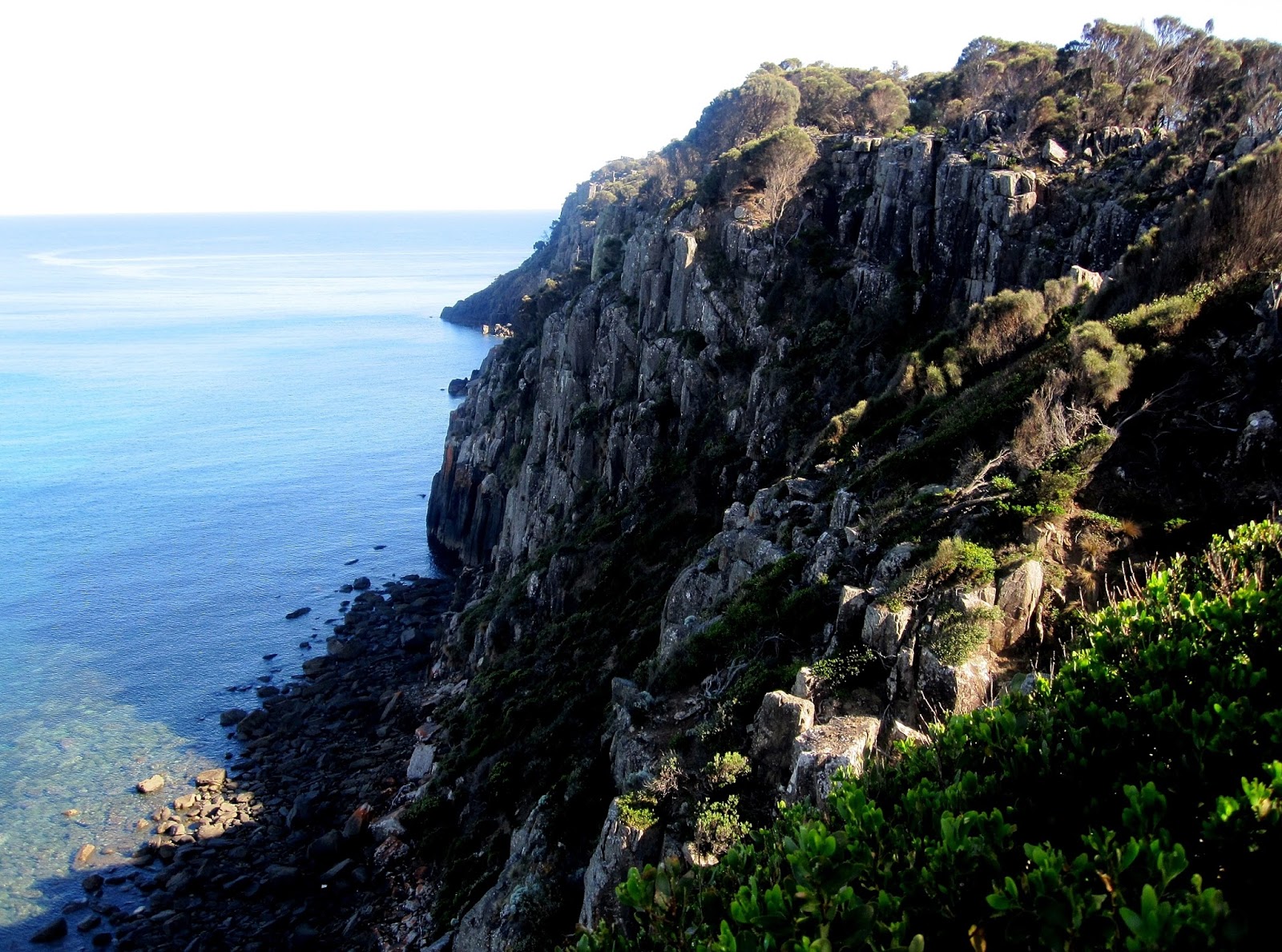 Veronika Wild Narawntapu National Park Day