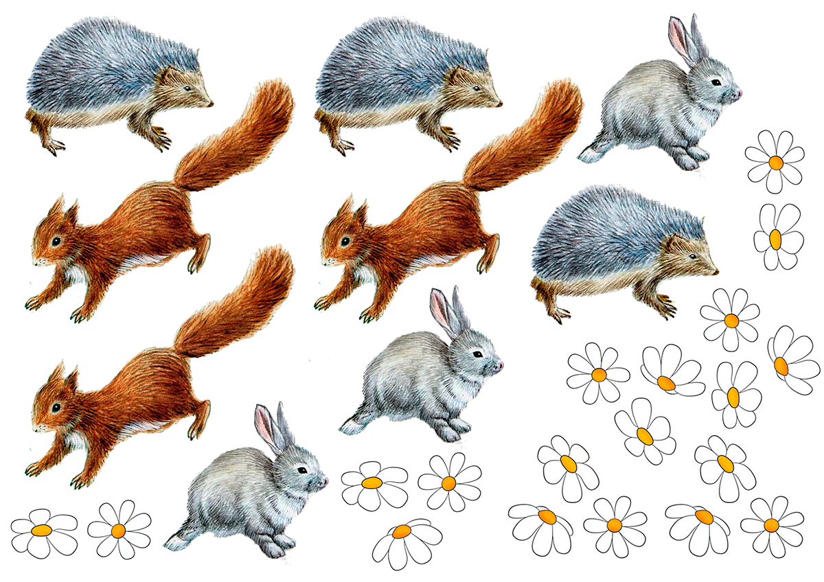 Лесные животные для детей. Иллюстрации животных для детей. Животные леса для дошкольников.