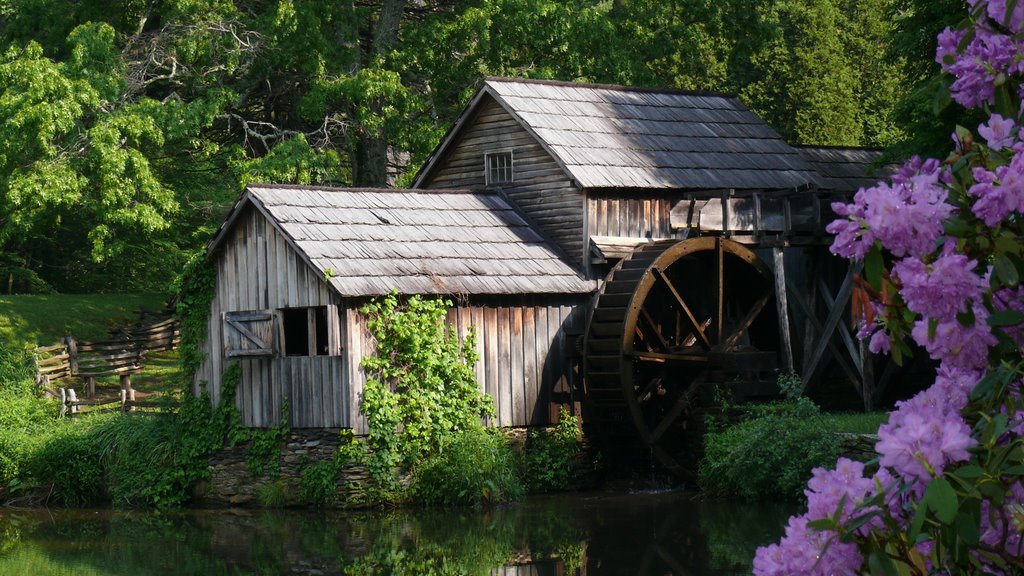 obituary June Reed Simpkins