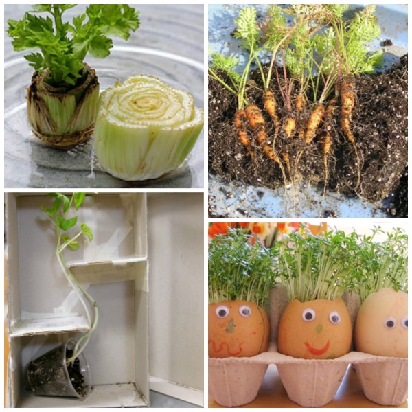 SPRING SCIENCE FOR KIDS- 30 FUN ACTIVITIES! #scienceexperimentskids #sciencefairprojects #springscienceactivities #springscienceexperimentsforkids #sciencefairprojectselementary #scienceforkids #scienceexperiments #springactivitiesforkids #springcraftsforkids #springactivities #springcrafts #activitiesforkids #craftsforkids #kidsactivities