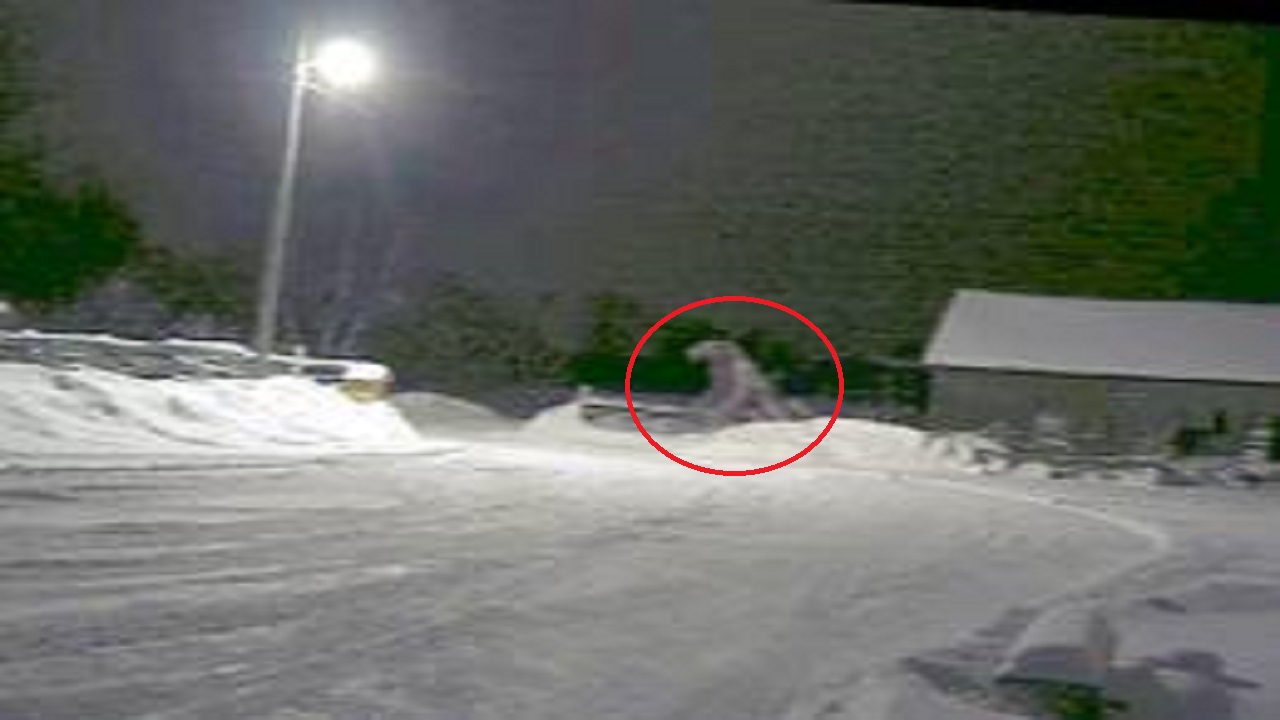 The Beast Of Bray Road Sighting Account October 31, 1999