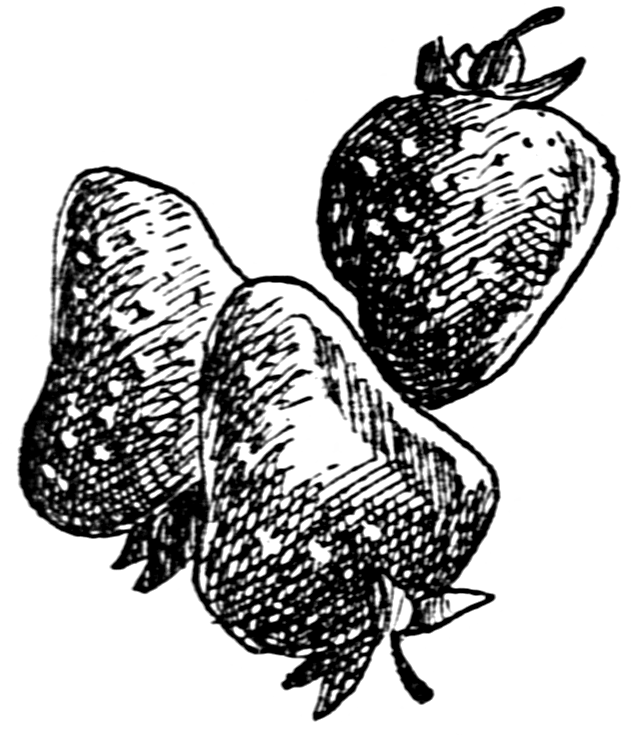 Vintage Snips and Clips Strawberries Clipart Black and White