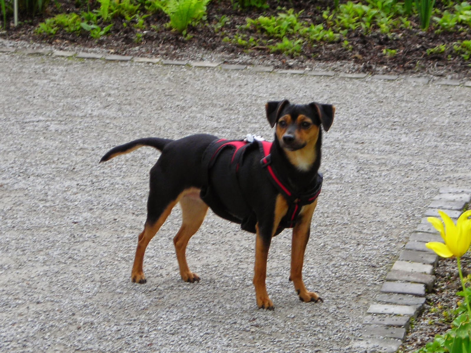 Alltagsheldennetz World Of Pd