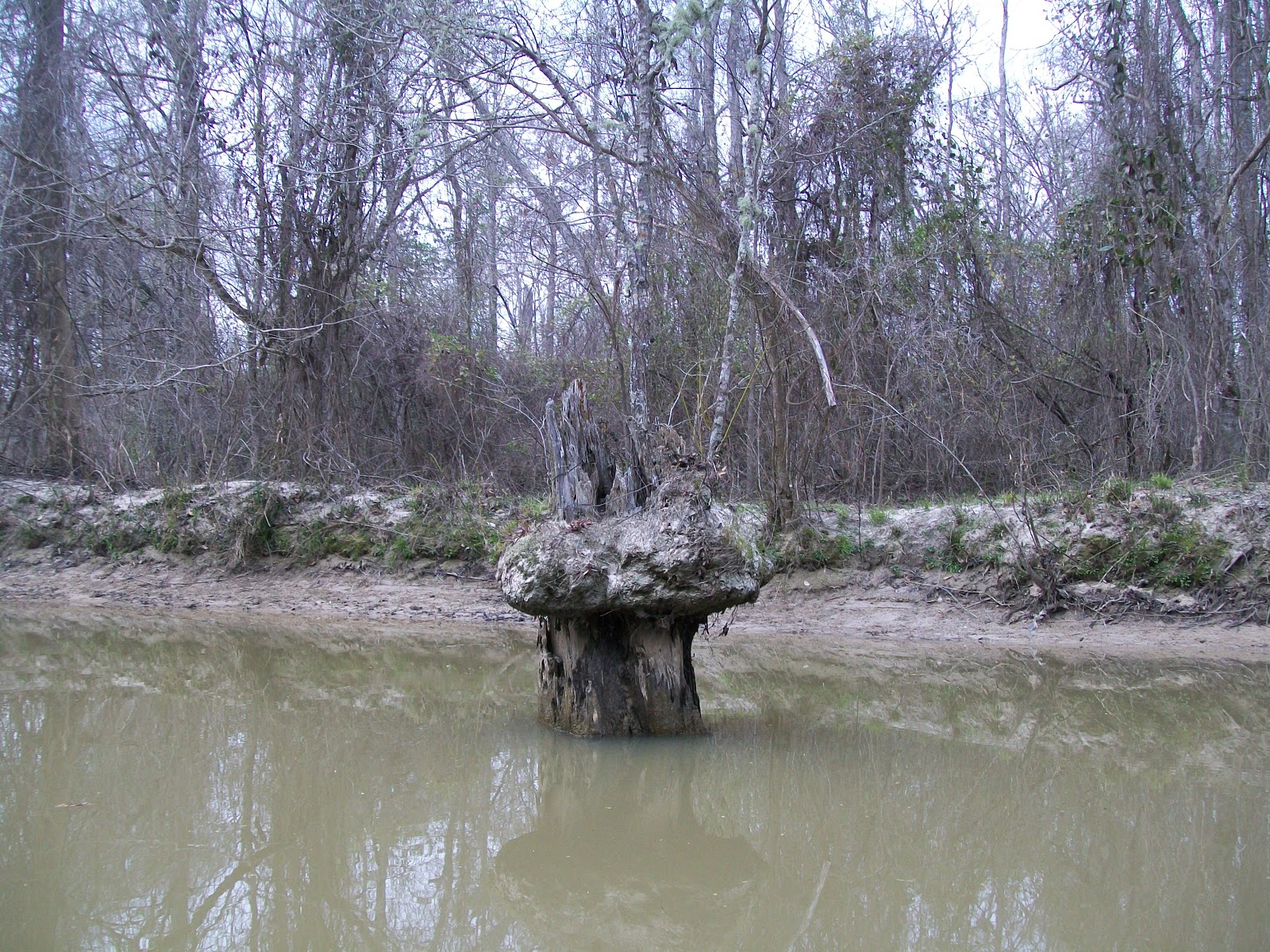 Canoe and Machete Pelahatchie Creek