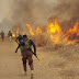 BREAKING | Boko Haram Top Leaders, Including Shekau, Hit With Air Bomb