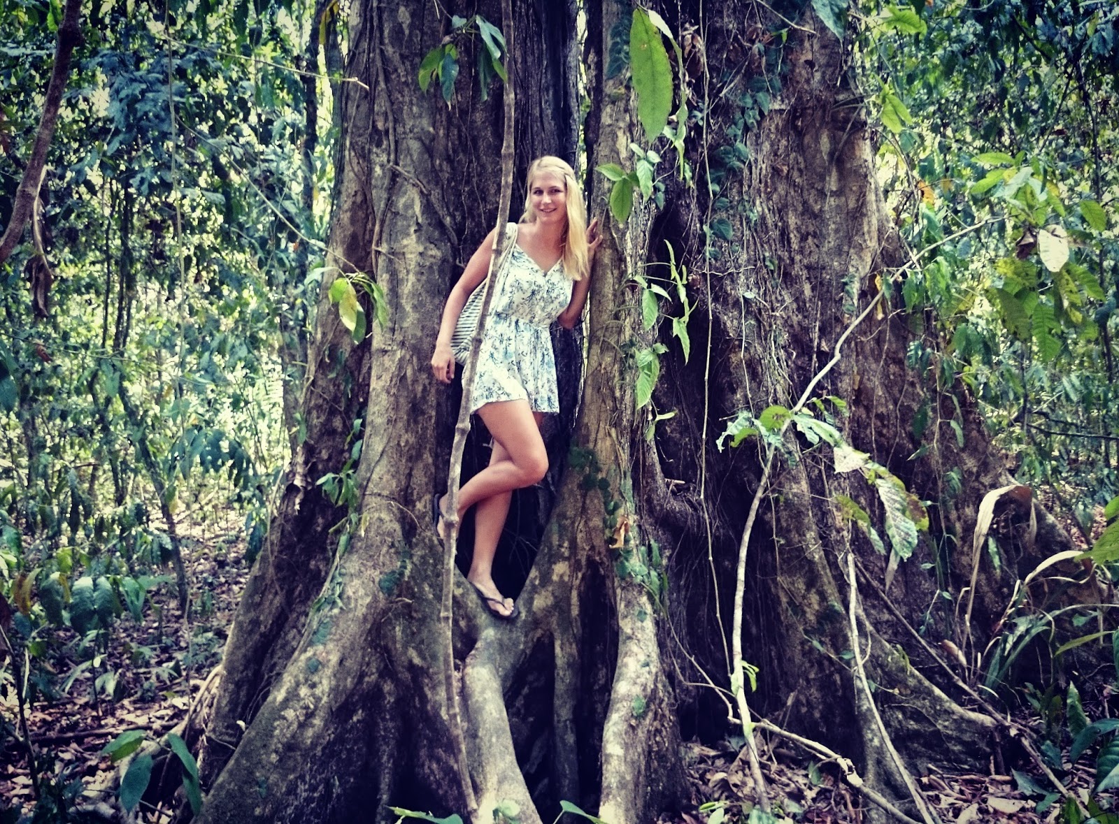 Follow The Sun Reisebericht Costa Rica Teil 4 Manuel Antonio