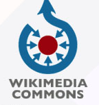 https://commons.wikimedia.org/wiki/File:Gridiron_Victoria_Vic_Bowl_2016.jpg