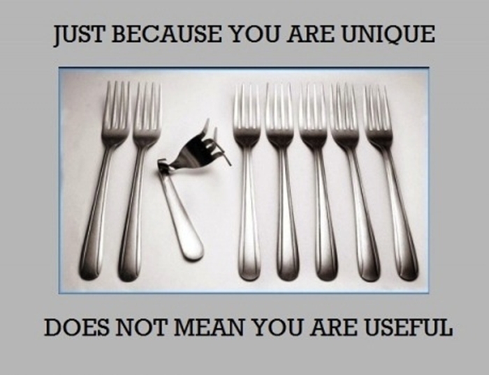 just-because-you-are-unique-does-not-mean-you-are-useful.jpg