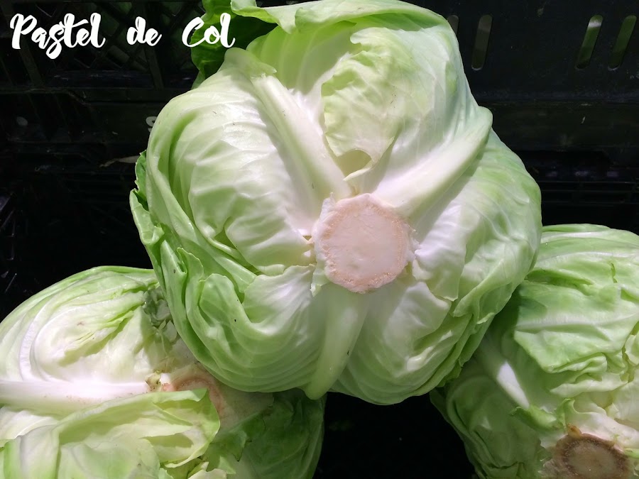 coles-para-pastel-de-col-con-carne-picada