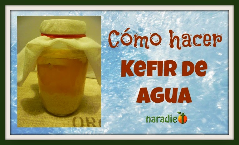 Cómo hacer kéfir de agua? 