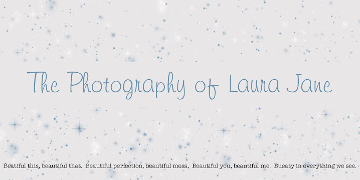 the photography of laura jane
