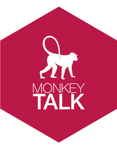 monkeytalk