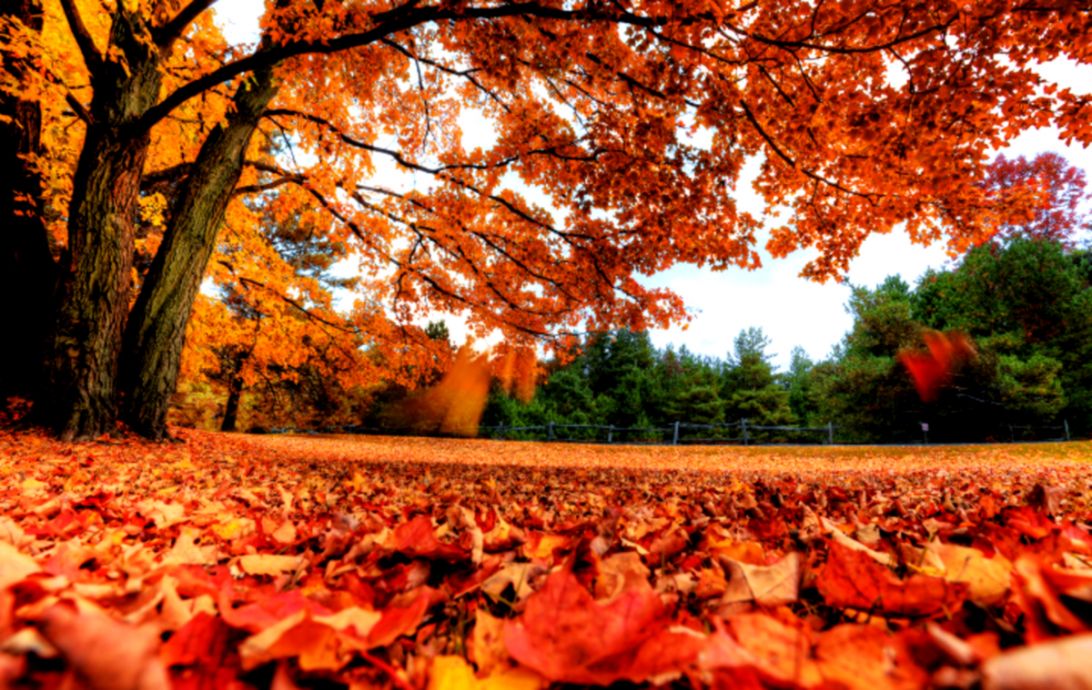 Macbook Pro Retina Display Desktop Backgrounds Wallpapers Hd Quality