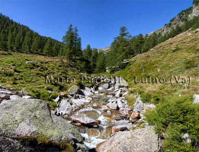 Corte della Froda itinerari in valle Maggia