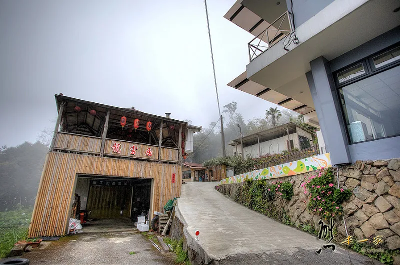 龍雲休閒農場環境|阿里山賞櫻住宿選擇