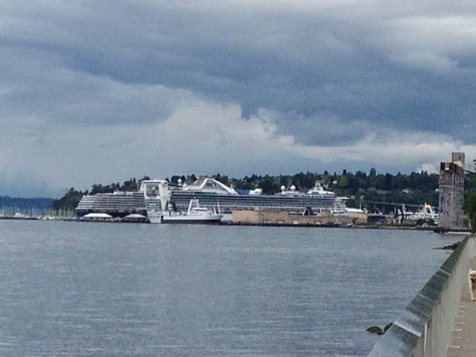 S/V Wand'rin Star: Vigor Seattle MARITIME FESTIVAL