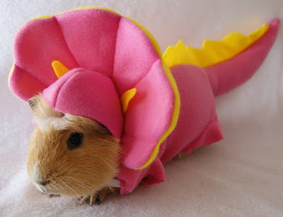 guinea pig costumes