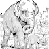 Top Wild Animal Coloring Pages Image