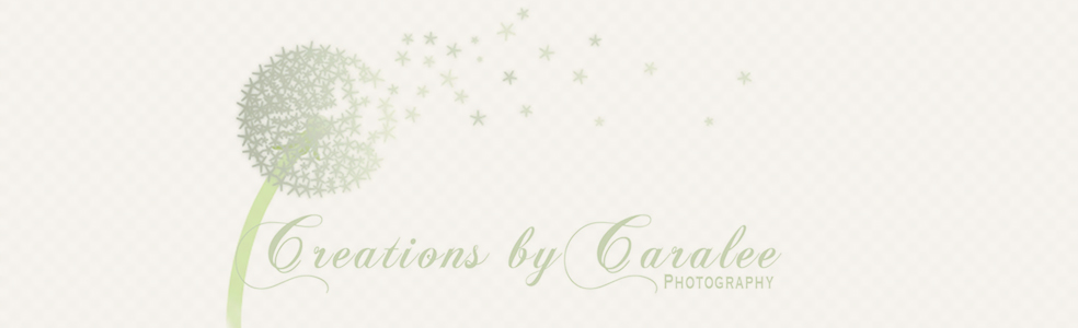 Creations By Caralee: A Photography Blog