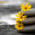 OS CINCO PRINCIPIOS DO REIKI