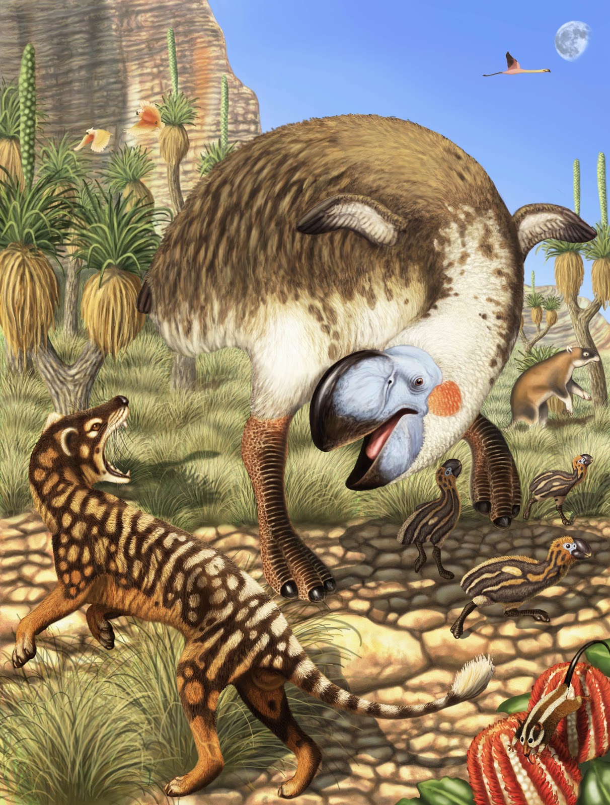 Wild and Wonderful Life on Planet Earth: Mihirungs in Miocene Australia Wild and Wonderful Life on Planet Earth: Mihirungs in Miocene Australia