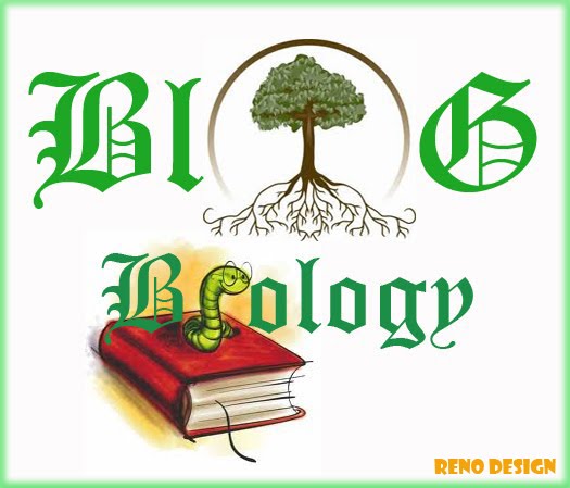 Blog Biology