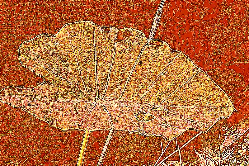 순천 조계산 선암사 순천 조계산 선암사