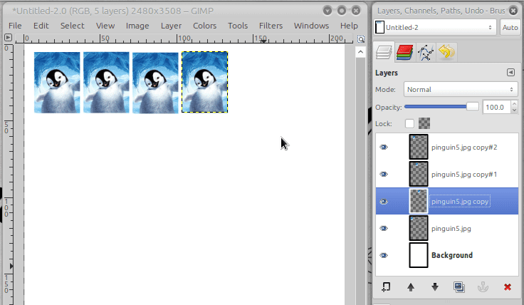 Software jig cetak foto gratis online