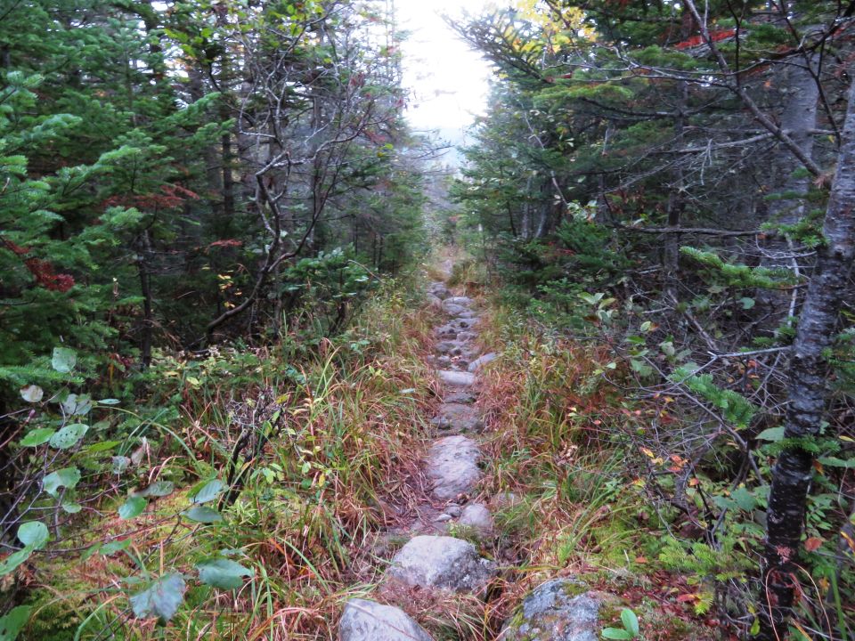 Outdoor Diversion Isolation via Rocky Branch