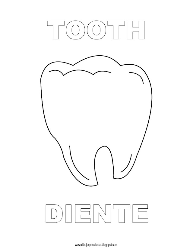 Dibujos Inglés - Español con D: Diente - Tooth