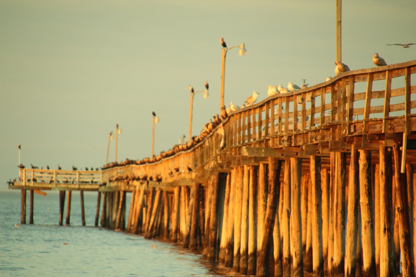 WestminsterCanterbury on Chesapeake Bay September 2015