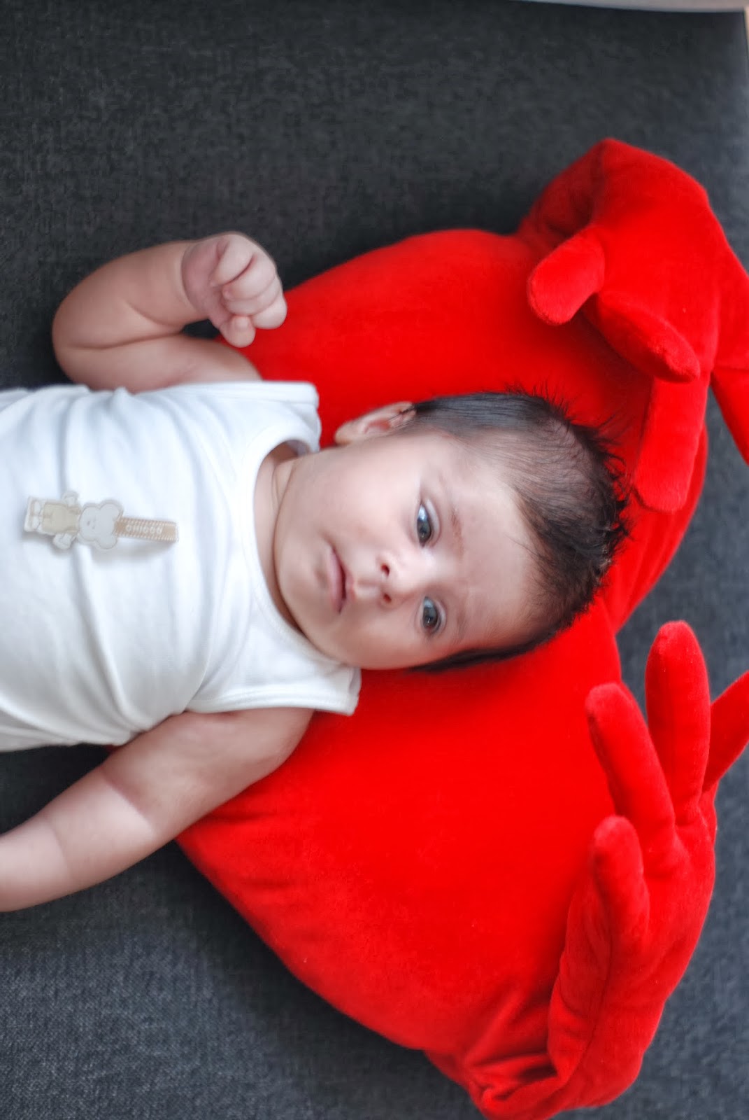 2 AYLIK BEBEK BAKIMI İNAL ANNE OLUNCA