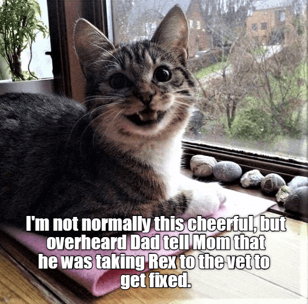 No Heidi No Tiro A Clara Por El Barranco Asi Se Armo El Famoso