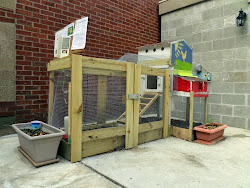 pittsburgh poultry p4 pro chicken