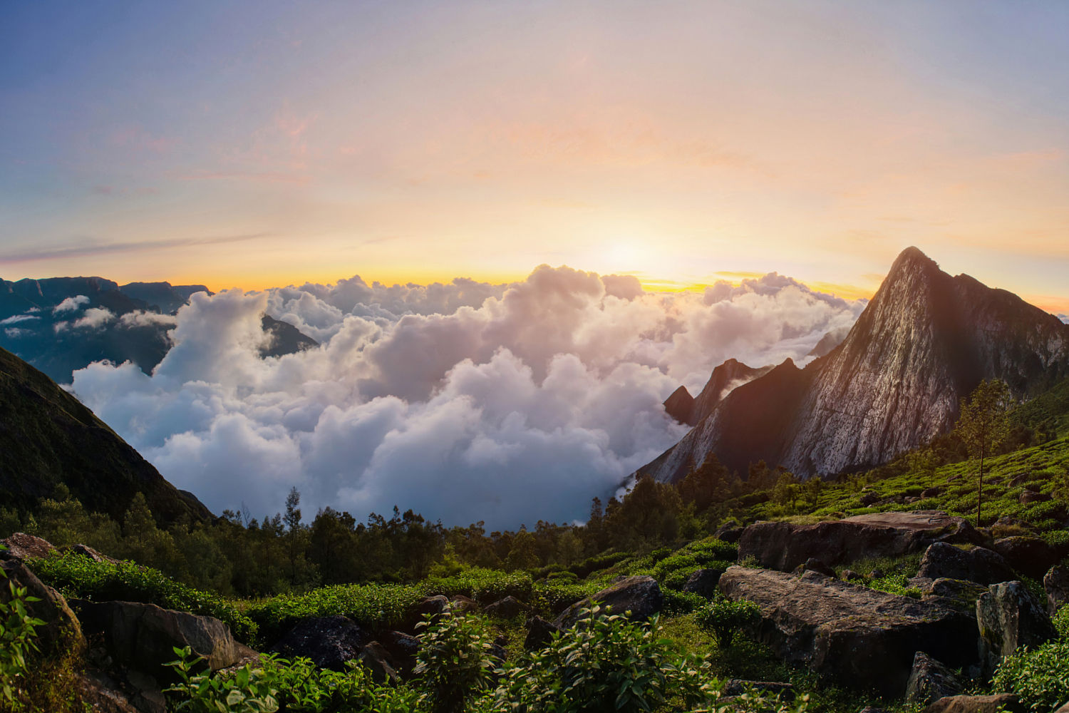 What are the best Tamil movies of all time? - Quora