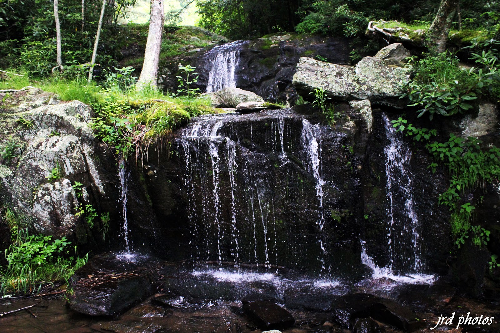 Just A Pic "Newland Waterfalls Park"