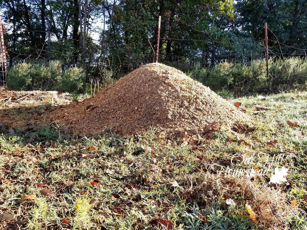 Composting in Winter Oak Hill Homestead