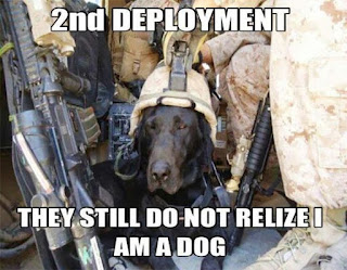 2nd deployment ~ Dog Humor Military