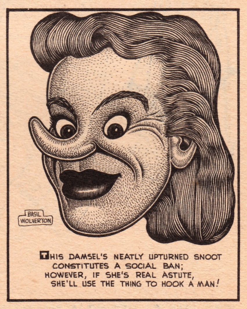 Dull Tool Dim Bulb Basil Wolverton and Monte Wolverton Comedy Magazine