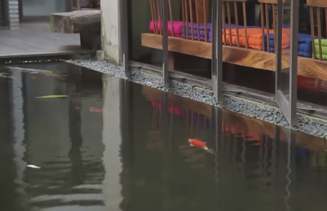 Rumah Terbuka dan Sehat Rumah Terbuka dan Sehat