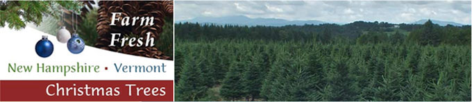 New Hampshire - Vermont Christmas Trees