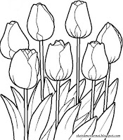 Sketsa Mewarnai Gambar Bunga Tulip